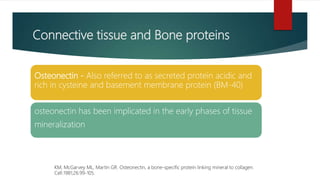 Connective tissue and Bone proteins
Osteonectin - Also referred to as secreted protein acidic and
rich in cysteine and basement membrane protein (BM-40)
osteonectin has been implicated in the early phases of tissue
mineralization
KM, McGarvey ML, Martin GR. Osteonectin, a bone-specific protein linking mineral to collagen.
Cell.1981;26:99-105.
 
