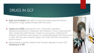 DRUGS IN GCF
 Bader and Goldhaber were able to show that intravenously administered
tetracycline in dogs rapidly emerges within the sulcus
 Stephen et al (1980) measured the conc. of ampicillin, cephalexin,
tetracycline,erythromycin, clindamycin and rifampicin in serum, saliva and GCF
after a single dose administration. Except on one occasion, individual GCF
antibiotic concentration were equal to or considerably greater than those found
in saliva. But they were, however, always much lower than the concentration
found in serum.
 Metronidazole is another antibiotic that has been detected in human GCF
Eiserbeng et-al 1991
 