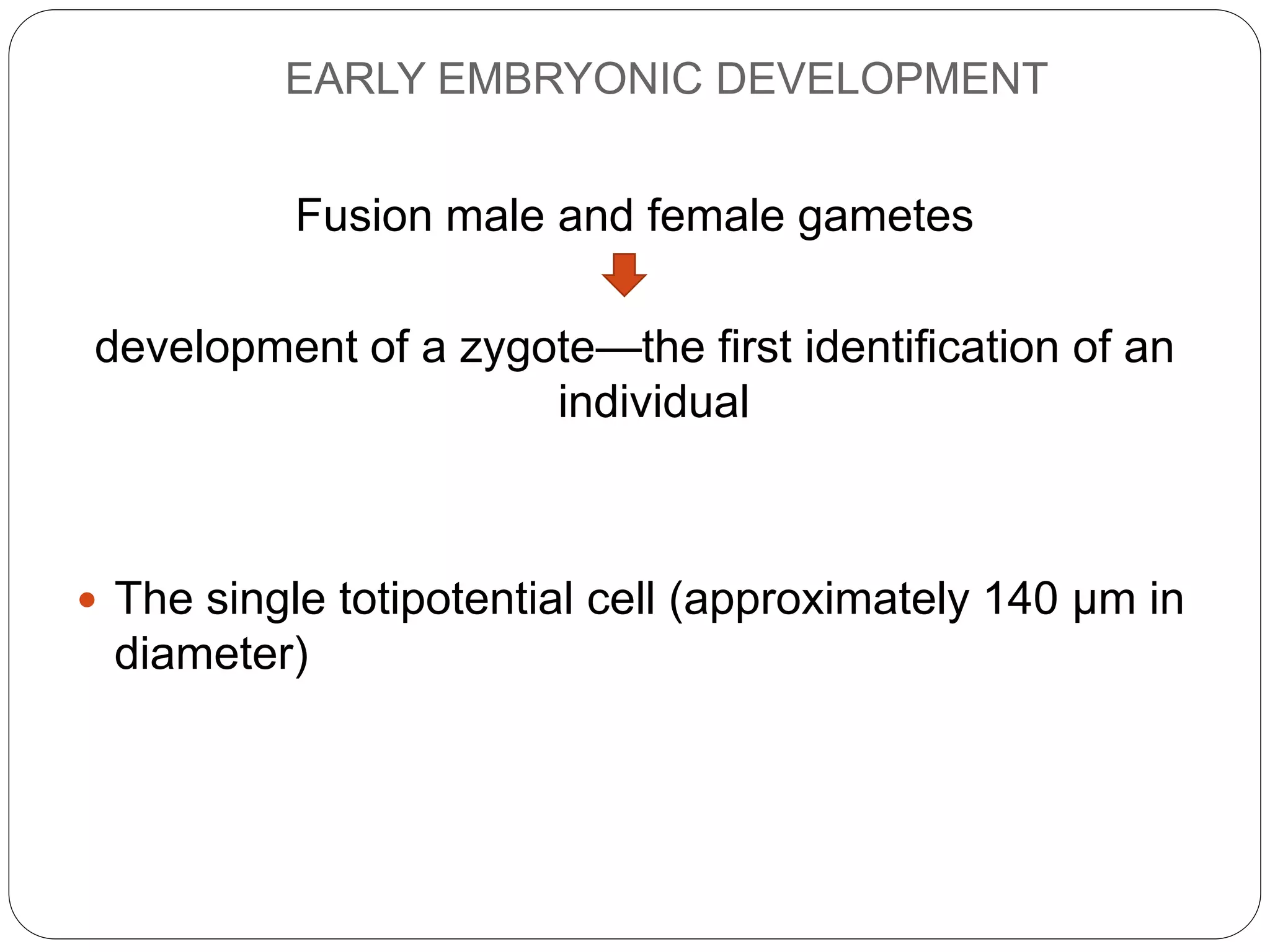 EARLY EMBRYONIC DEVELOPMENT
Fusion male and female gametes
development of a zygote—the first identification of an
individual
 The single totipotential cell (approximately 140 μm in
diameter)
 