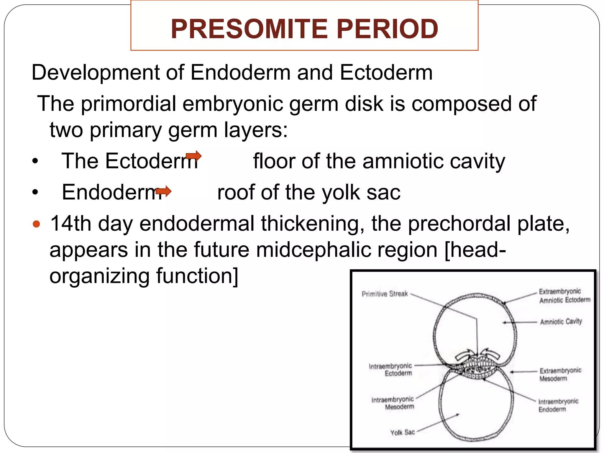 PRESOMITE PERIOD
Development of Endoderm and Ectoderm
The primordial embryonic germ disk is composed of
two primary germ layers:
• The Ectoderm floor of the amniotic cavity
• Endoderm roof of the yolk sac
 14th day endodermal thickening, the prechordal plate,
appears in the future midcephalic region [head-
organizing function]
 