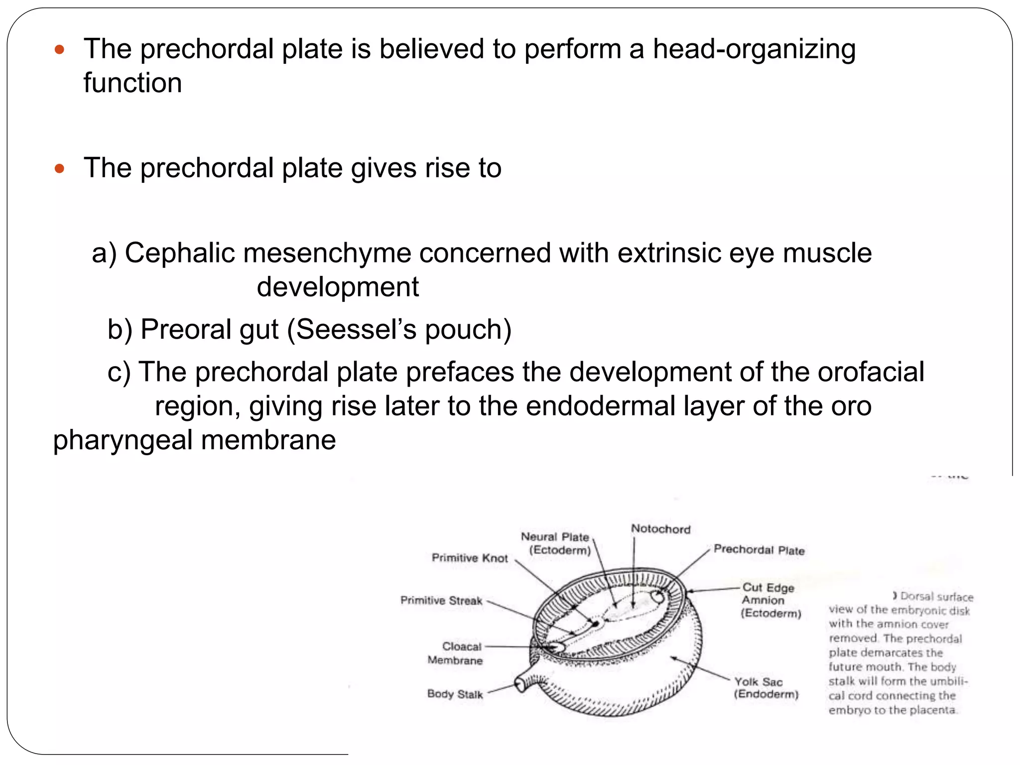  The prechordal plate is believed to perform a head-organizing
function
 The prechordal plate gives rise to
a) Cephalic mesenchyme concerned with extrinsic eye muscle
development
b) Preoral gut (Seessel’s pouch)
c) The prechordal plate prefaces the development of the orofacial
region, giving rise later to the endodermal layer of the oro
pharyngeal membrane
 