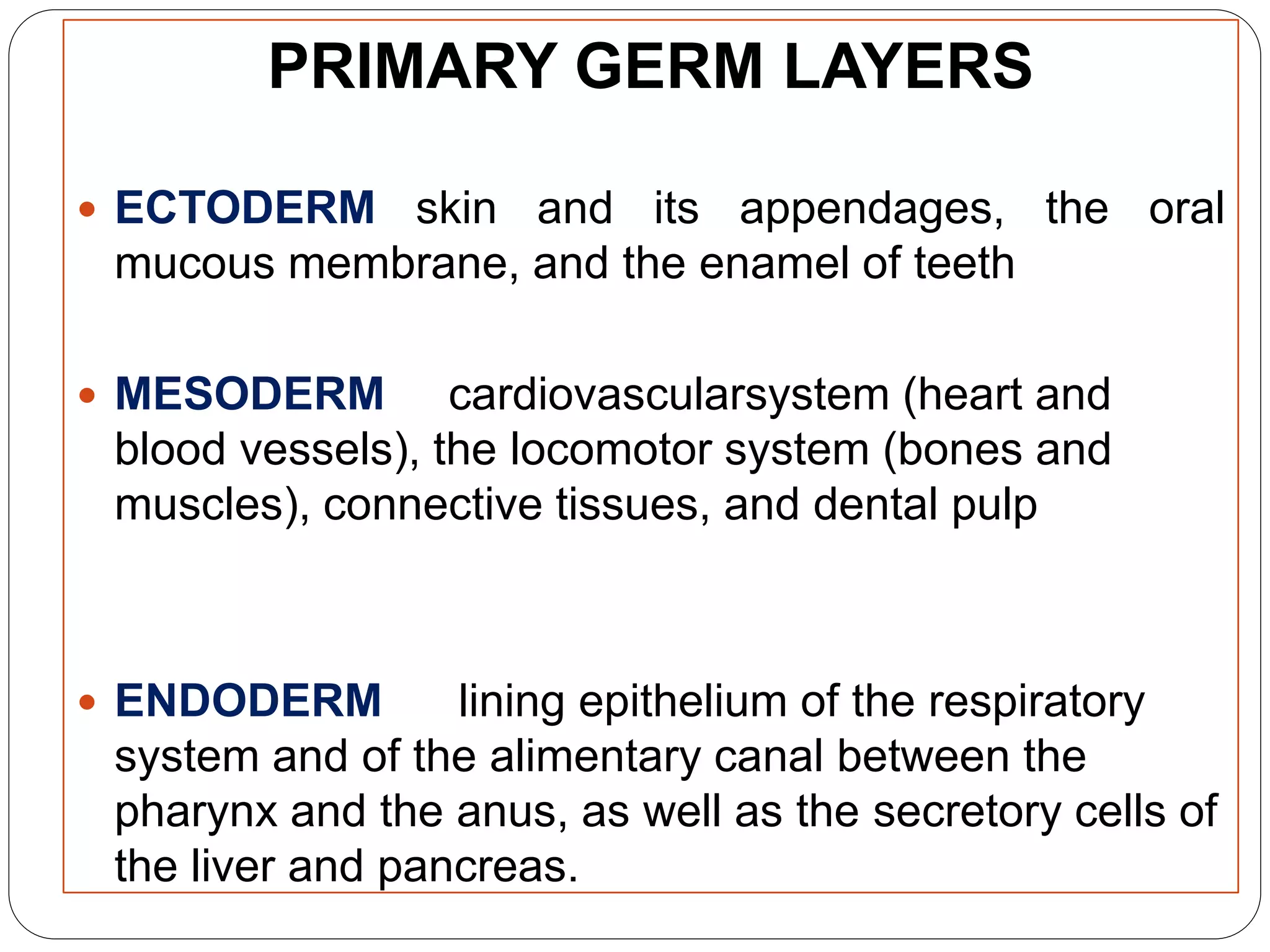 PRIMARY GERM LAYERS
 ECTODERM skin and its appendages, the oral
mucous membrane, and the enamel of teeth
 MESODERM cardiovascularsystem (heart and
blood vessels), the locomotor system (bones and
muscles), connective tissues, and dental pulp
 ENDODERM lining epithelium of the respiratory
system and of the alimentary canal between the
pharynx and the anus, as well as the secretory cells of
the liver and pancreas.
 