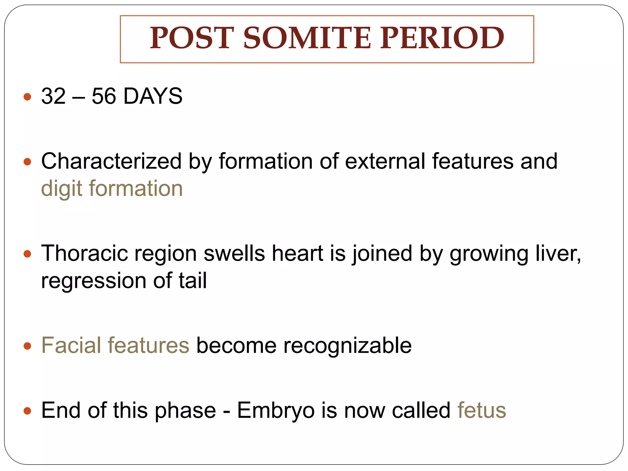  32 – 56 DAYS
 Characterized by formation of external features and
digit formation
 Thoracic region swells heart is joined by growing liver,
regression of tail
 Facial features become recognizable
 End of this phase - Embryo is now called fetus
POST SOMITE PERIOD
 