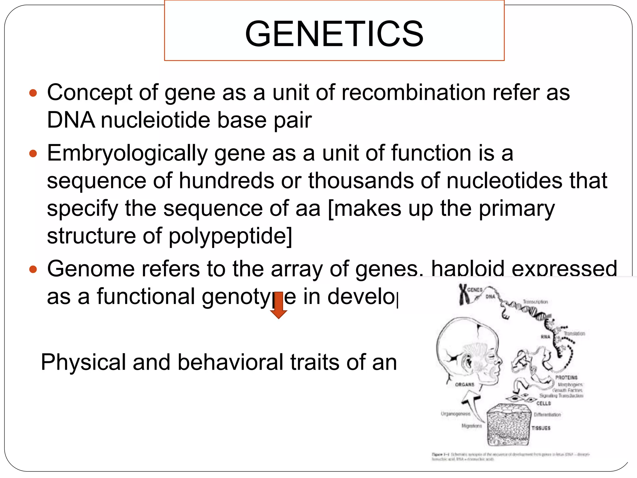 GENETICS
 Concept of gene as a unit of recombination refer as
DNA nucleiotide base pair
 Embryologically gene as a unit of function is a
sequence of hundreds or thousands of nucleotides that
specify the sequence of aa [makes up the primary
structure of polypeptide]
 Genome refers to the array of genes, haploid expressed
as a functional genotype in development
Physical and behavioral traits of an organism
 