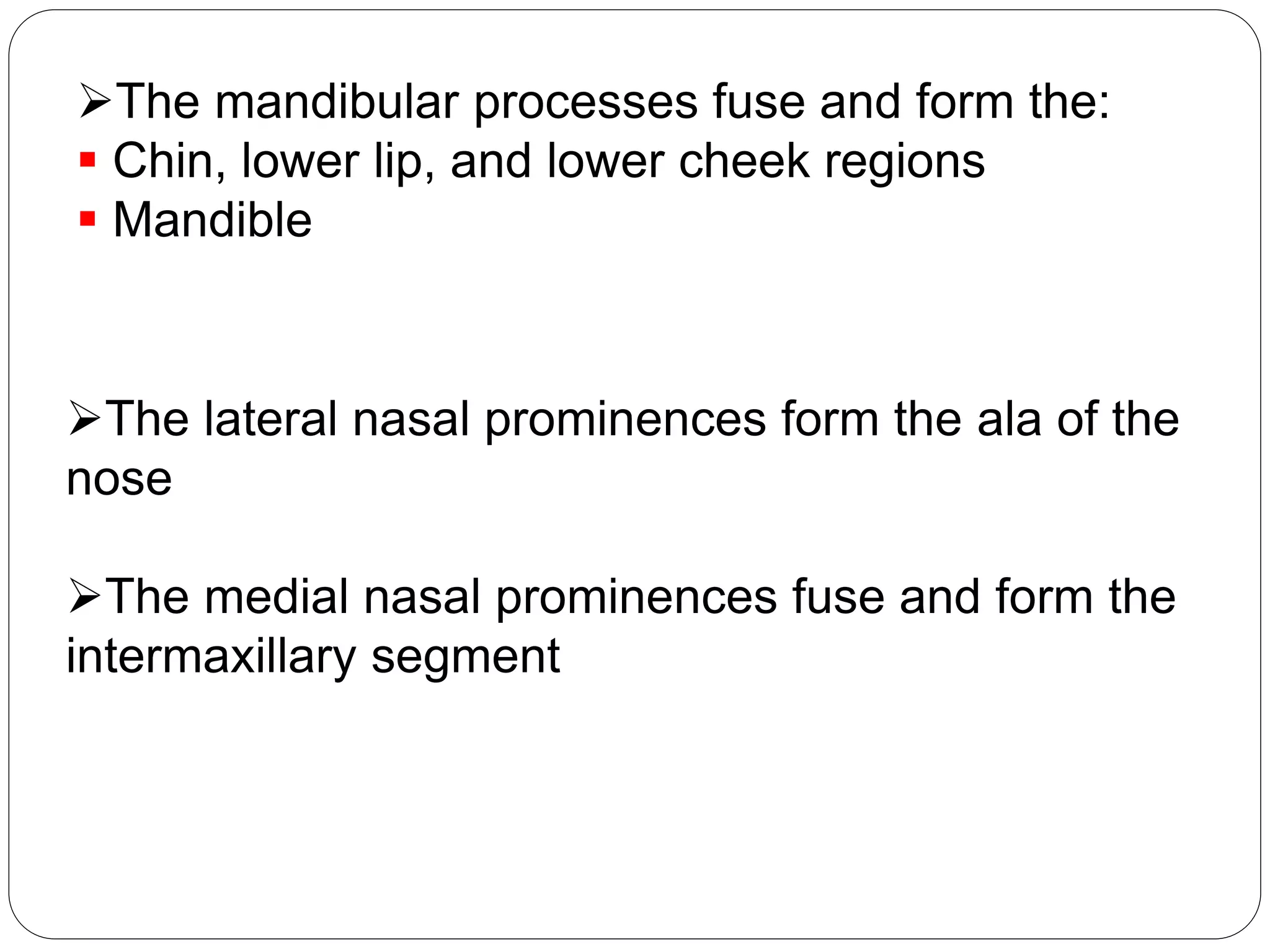 The mandibular processes fuse and form the:
 Chin, lower lip, and lower cheek regions
 Mandible
The lateral nasal prominences form the ala of the
nose
The medial nasal prominences fuse and form the
intermaxillary segment
 