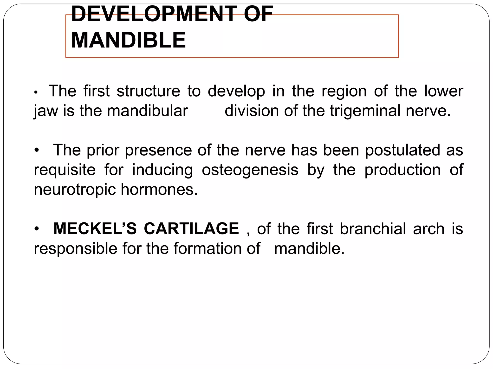 DEVELOPMENT OF
MANDIBLE
• The first structure to develop in the region of the lower
jaw is the mandibular division of the trigeminal nerve.
• The prior presence of the nerve has been postulated as
requisite for inducing osteogenesis by the production of
neurotropic hormones.
• MECKEL’S CARTILAGE , of the first branchial arch is
responsible for the formation of mandible.
 
