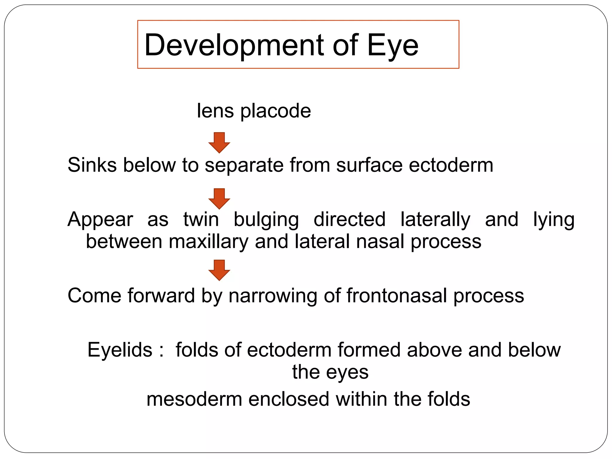 lens placode
Sinks below to separate from surface ectoderm
Appear as twin bulging directed laterally and lying
between maxillary and lateral nasal process
Come forward by narrowing of frontonasal process
Eyelids : folds of ectoderm formed above and below
the eyes
mesoderm enclosed within the folds
Development of Eye
 