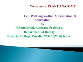 Cell Wall ingrowths: Adcrustation &
Incrustation
By
N.Sannigrahi, Associate Professor,
Department of Botany,
Nistarini College, Purulia, 723101(W.B) India
 