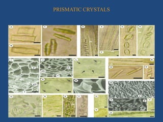PRISMATIC CRYSTALS
 