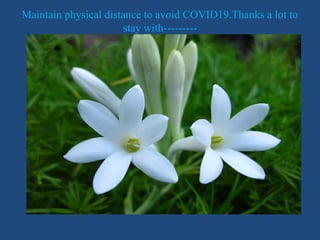 Maintain physical distance to avoid COVID19.Thanks a lot to
stay with---------
 
