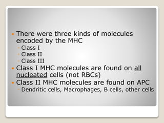  There were three kinds of molecules
encoded by the MHC
◦ Class I
◦ Class II
◦ Class III
 Class I MHC molecules are found on all
nucleated cells (not RBCs)
 Class II MHC molecules are found on APC
◦ Dendritic cells, Macrophages, B cells, other cells
 