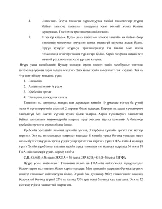 4.         Липогенез. Хэрэв гликоген хуримтлуулах талбай гликогенээр дүүрэн
                 байвал элэгнээс глюкозыг глицериол эсвэл өөхний хүчил болгож
                 хувиргадаг. Тэдгээрээс триглицерид нийлэгжинэ.
      5.         Шээсээр ялгарах. Цусан дахь глюкозын хэмжээ хамгийн их байвал бөөр
                 глюкозын молекулыг эргүүлэн шимж амжилгүй шээсэнд алдаж болно.
                 Эрүүл хүмүүст нүүрс-ус триглицеридээр хэт баялаг хоол идсэн
                 тохиолдолд шээсээр глюкоз түр ялгарч болно. Харин чихрийн шижин мэт
                 өвчний үед глюкоз шээсээр үргэлж ялгарна.
Нүүрс усны катаболизм: Цусаар зөөгдөж ирсэн глюкоз эсийн мембраныг нэвтэлж
цитозольд орсоны дараа задарч исэлдэнэ. Энэ явцыг эсийн амьсгалалт гэж нэрлэнэ. Энэ нь
4 үе шаттайгаар явагдана. үүнд:
   1. Гликолиз
   2. Ацетилкоэнзим- А үүсэх
   3. Кребсийн эргэлт
   4. Электрон дамжуулах хэлхээ
   Гликолиз нь цитозольд явагдах шат дараалсан химийн 10 урвалаас тогтох ба үүний
эцэст 6 нүүрстөрөгчийн атомтой 2 пируват болж задардаг. Пируват нь цааш хүчилтөрөгч
хангалтгүй бол лактат/ сүүний хүчил/ болж задарна. Харин хүчилтөрөгч хангалттай
байвал цитозолиос митохондрийн матрикс уруу зөөгдөж ацетил коэнзим- А болсноор
кребсийн эргэлтэд ороход бэлэн болно.
   Кребсийн эргэлтийг лимоны хүчлийн эргэлт, 3 карбоны хүчлийн эргэлт гэх мэтээр
нэрлэнэ. Энэ нь митохондрын матрикст явагддаг 8 химийн урвал бөгөөд урвалын эцэст
анхны бүтээгдэхүүн нь эргээд үүсдэг учир эргэлт гэж нэрлэнэ. үүнд: ГФА- гийн 4 молекул
үүснэ. Эсийн аэроб амьсгалалтын эцсийн дүнд глюкозын нэг молекул задрахад 36 эсвэл 38
ГФА- ийн молекул үүснэ. өөрөөр хэлбэл
   С6Н12О6+6О2+36 эсвэл 38ХФА + 36 эсвэл 38Р-6СО2+6Н2О+36эсвэл 38ГФА
   Нүүрс усны анаболизм : Глюкозын ихэнх нь ГФА-ийн нийлэгжилд зарцуулагддаг
боловч зарим нь гликоген болон хуримтлагддаг. Мөн дипидийн задралын бүтээгдэхүүнээс
шинээр глюкозыг нийлэгжүүлж болно. Хүний бие дунджаар 500гр гликогенийг нөөцлөх
боломжтой бөгөөд түүний 25% нь элгэнд 75% араг ясны булчинд хадгалагдана. Энэ нь 32
км газар гүйхэд хангалттай энерги юм.
 