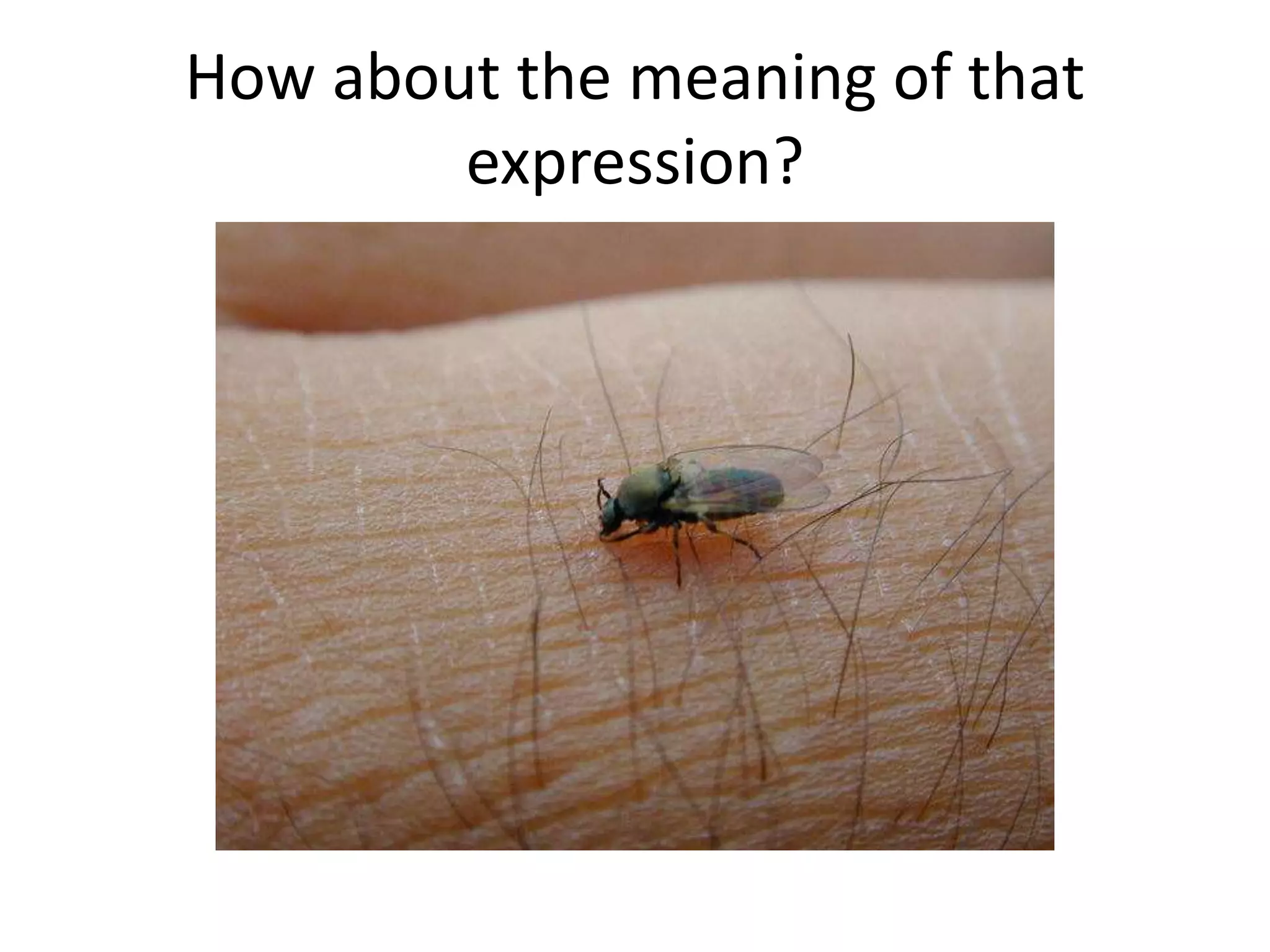 How about the meaning of that
expression?
 