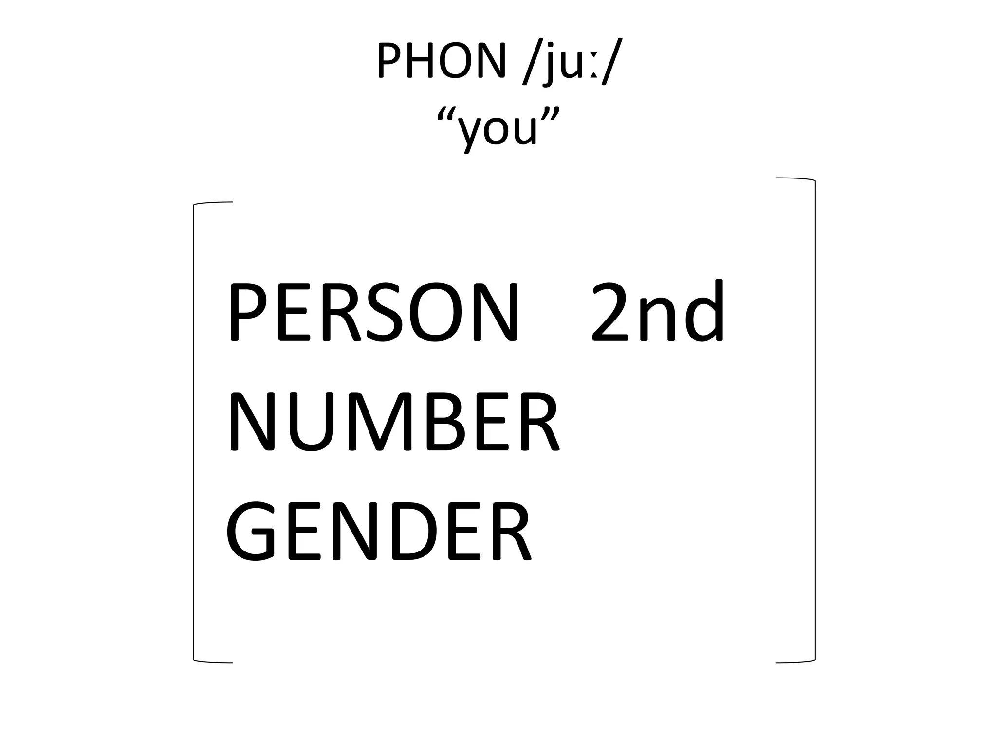 PHON /juː/
“you”
PERSON 2nd
NUMBER
GENDER
 