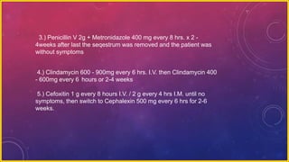 3.) Penicillin V 2g + Metronidazole 400 mg every 8 hrs. x 2 -
4weeks after last the seqestrum was removed and the patient was
without symptoms
4.) Clindamycin 600 - 900mg every 6 hrs. I.V. then Clindamycin 400
- 600mg every 6 hours or 2-4 weeks
5.) Cefoxitin 1 g every 8 hours I.V. / 2 g every 4 hrs I.M. until no
symptoms, then switch to Cephalexin 500 mg every 6 hrs for 2-6
weeks.
 