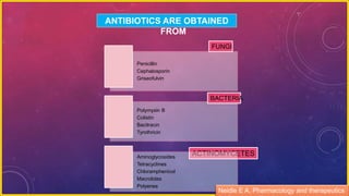 ANTIBIOTICS ARE OBTAINED
FROM
ACTINOMYCETES
Penicillin
Cephalosporin
Griseofulvin
Polymyxin B
Colistin
Bacitracin
Tyrothricin
Aminoglycosides
Tetracyclines
Chloramphenicol
Macrolides
Polyenes
BACTERIA
FUNGI
Neidle E A, Pharmacology and therapeutics
 
