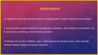 Natural resistance
In organisms which are naturally resistant, the drug sensitive enzyme reactions may be absent .
 some naturally resistant organisms may elaborate a substance which destroys the antibiotic e.G.
E coli produce pencillinase which destroys penicillin .
Following the use of an antibiotic agent which destroys the sensitive strain , these naturally
resistant variants multiply and become dominant.
 