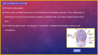  Primarily bacteriostatic.
 Inhibit protein synthesis by binding to 30s ribosomes in susceptible organism. Thus, attachment of
aminoacyl-t-rna to the mrna-ribosome complex is interfered with. As a result, peptide chains fail to
grow.
 It is effective against gram –ve and gram +ve bacteria, rickettsial, spirochetees, protozoa and
mycoplasma.
MECHANISM OF ACTION
tripathi
 