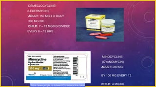 DEMECLOCYCLINE:
(LEDERMYCIN)
ADULT: 150 MG 4 X DAILY
300 MG BID.
CHILD: 7 – 13 MG/KG DIVIDED
EVERY 6 – 12 HRS.
MINOCYCLINE:
(CYANOMYCIN)
ADULT: 200 MG
FOLLOWED
BY 100 MG EVERY 12
HRS.
CHILD: 4 MG/KGhttps://www.google.co.in/search?q=tetracycline+tablet
 