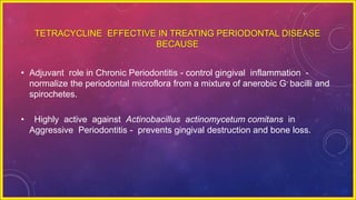 TETRACYCLINE EFFECTIVE IN TREATING PERIODONTAL DISEASE
BECAUSE
• Adjuvant role in Chronic Periodontitis - control gingival inflammation -
normalize the periodontal microflora from a mixture of anerobic G- bacilli and
spirochetes.
• Highly active against Actinobacillus actinomycetum comitans in
Aggressive Periodontitis - prevents gingival destruction and bone loss.
 