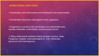 ANTIBACTERIAL SPECTRUM :
Individually, both sulfonamide and trimethoprim are bacteriostatic.
Combination becomes cidal against many organisms.
Organisms covered by the combination are-salmonella typhi,
serratia, klebsiella, enterobacter, pneumocystis jiroveci.
 Many sulfonamide resistant strains of staph. Aureus, strep.
Pyogenes, shigella, enteropathogenic E. Coli, influenzae ,
gonococci and meningococci.
 