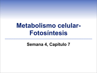Metabolismo celular-
    Fotosíntesis
   Semana 4, Capítulo 7
 