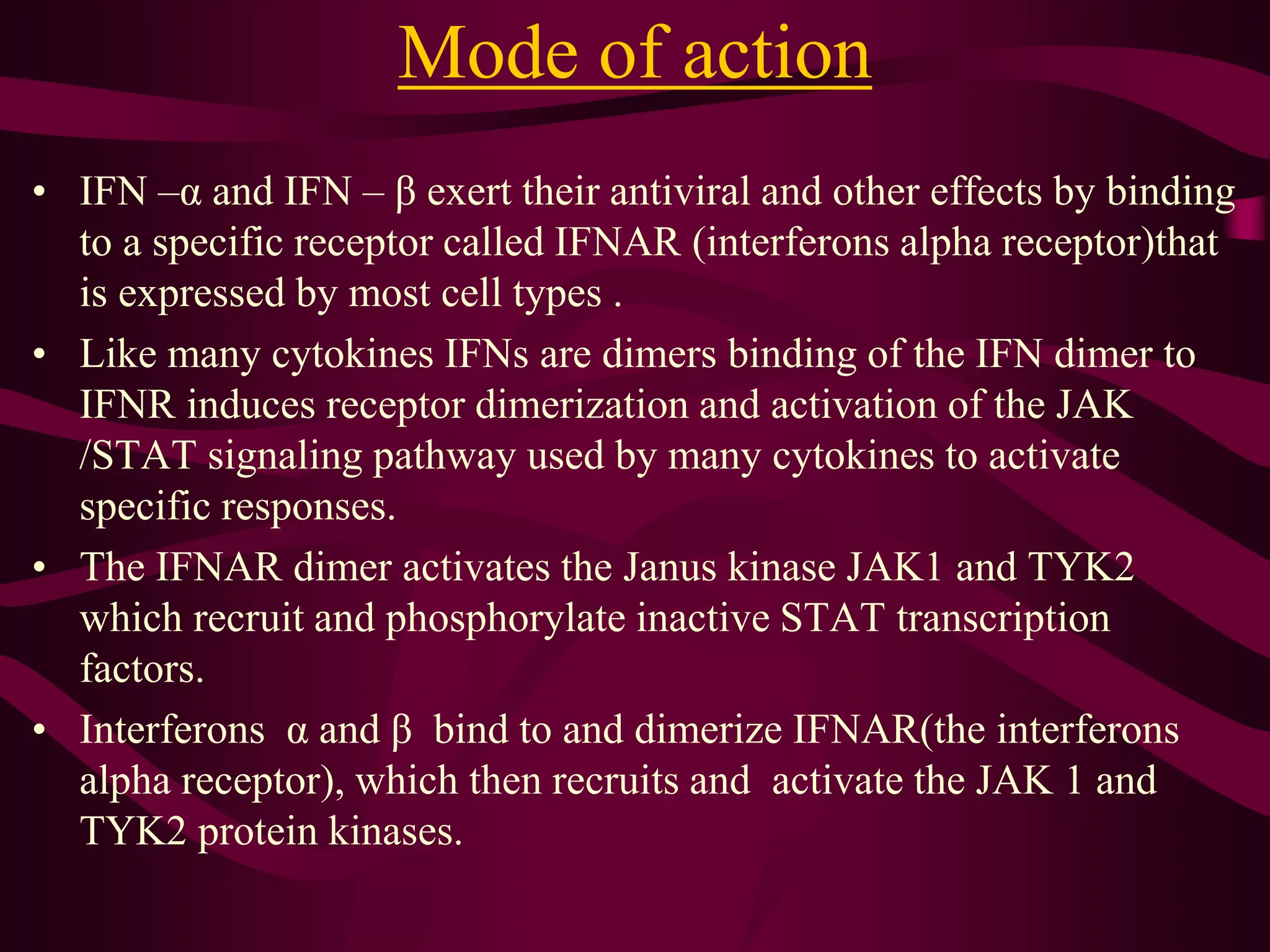 Mode of action
• IFN –α and IFN – β exert their antiviral and other effects by binding
to a specific receptor called IFNAR (interferons alpha receptor)that
is expressed by most cell types .
• Like many cytokines IFNs are dimers binding of the IFN dimer to
IFNR induces receptor dimerization and activation of the JAK
/STAT signaling pathway used by many cytokines to activate
specific responses.
• The IFNAR dimer activates the Janus kinase JAK1 and TYK2
which recruit and phosphorylate inactive STAT transcription
factors.
• Interferons α and β bind to and dimerize IFNAR(the interferons
alpha receptor), which then recruits and activate the JAK 1 and
TYK2 protein kinases.
 