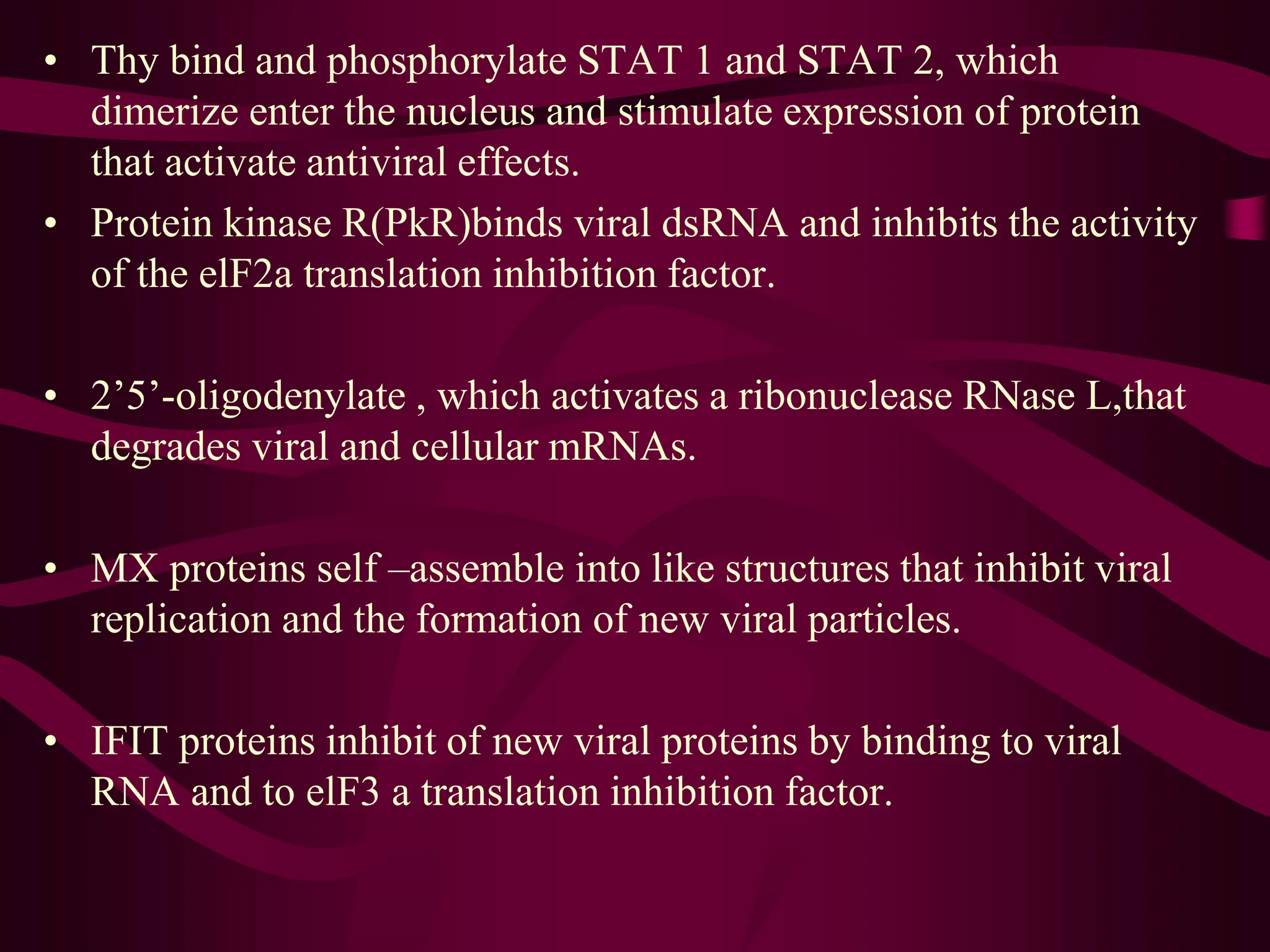 • Thy bind and phosphorylate STAT 1 and STAT 2, which
dimerize enter the nucleus and stimulate expression of protein
that activate antiviral effects.
• Protein kinase R(PkR)binds viral dsRNA and inhibits the activity
of the elF2a translation inhibition factor.
• 2’5’-oligodenylate , which activates a ribonuclease RNase L,that
degrades viral and cellular mRNAs.
• MX proteins self –assemble into like structures that inhibit viral
replication and the formation of new viral particles.
• IFIT proteins inhibit of new viral proteins by binding to viral
RNA and to elF3 a translation inhibition factor.
 