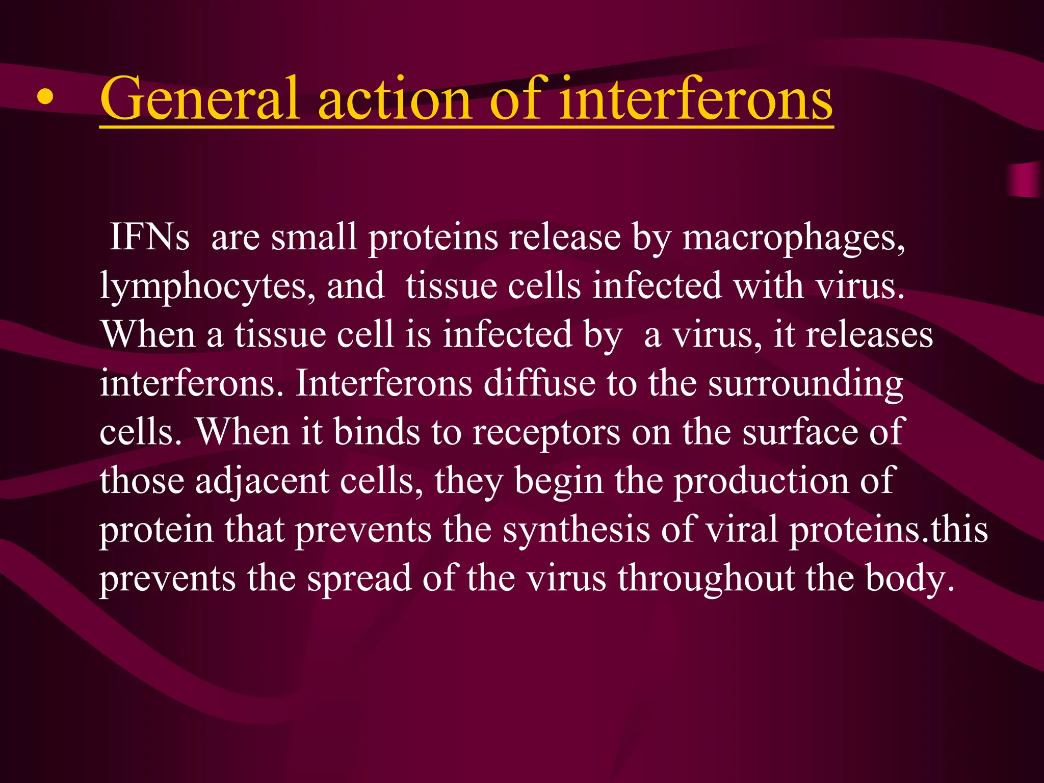 • General action of interferons
IFNs are small proteins release by macrophages,
lymphocytes, and tissue cells infected with virus.
When a tissue cell is infected by a virus, it releases
interferons. Interferons diffuse to the surrounding
cells. When it binds to receptors on the surface of
those adjacent cells, they begin the production of
protein that prevents the synthesis of viral proteins.this
prevents the spread of the virus throughout the body.
 