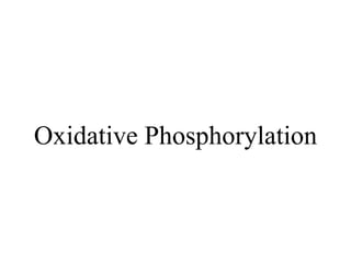 Oxidative Phosphorylation
 