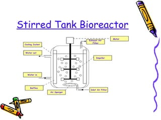 Stirred Tank Bioreactor
 