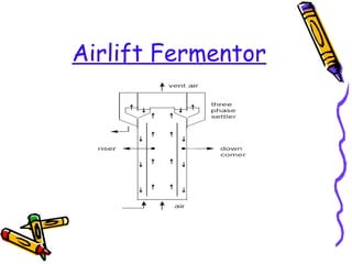 Airlift Fermentor
 