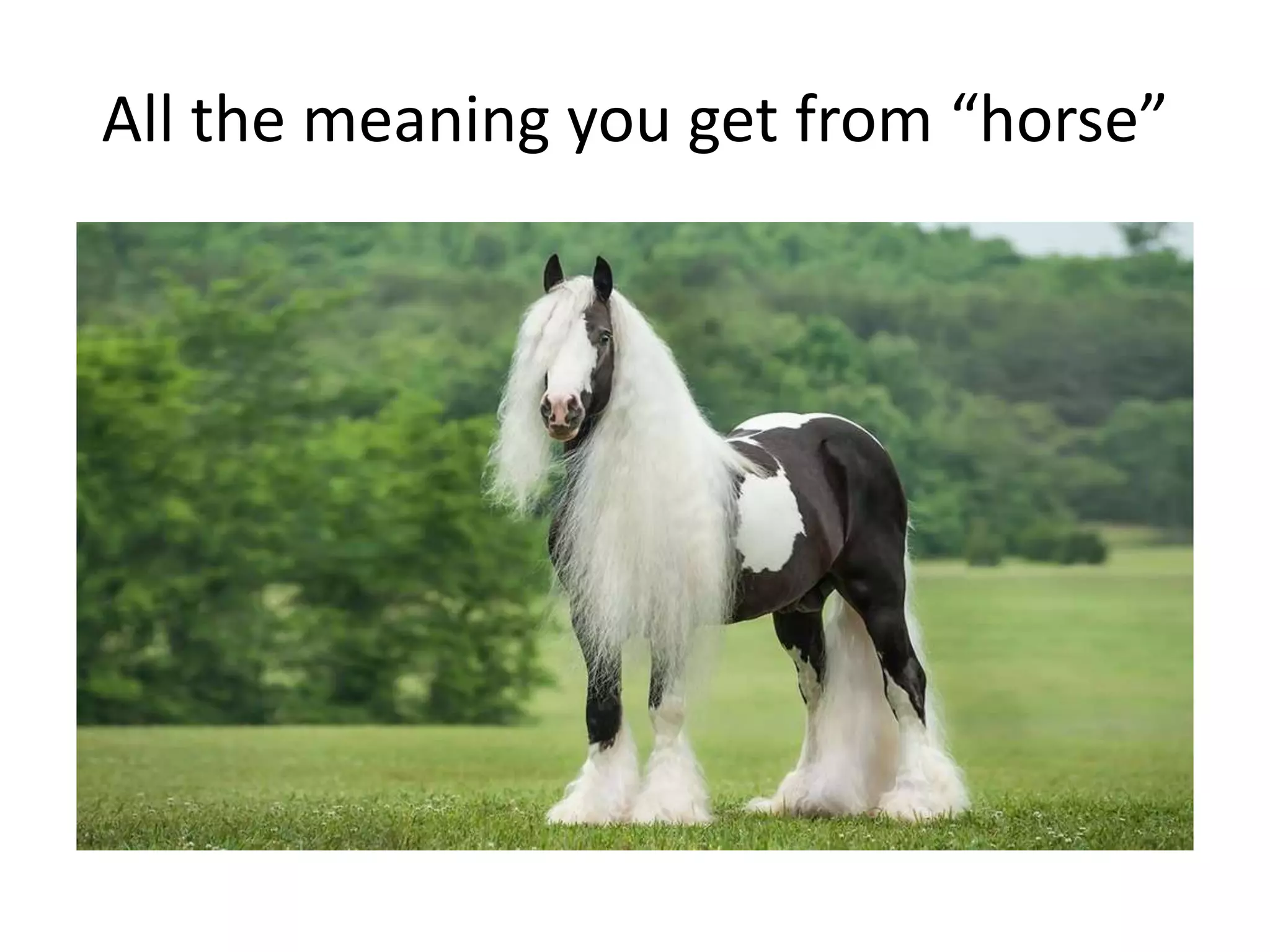 All the meaning you get from “horse”
 