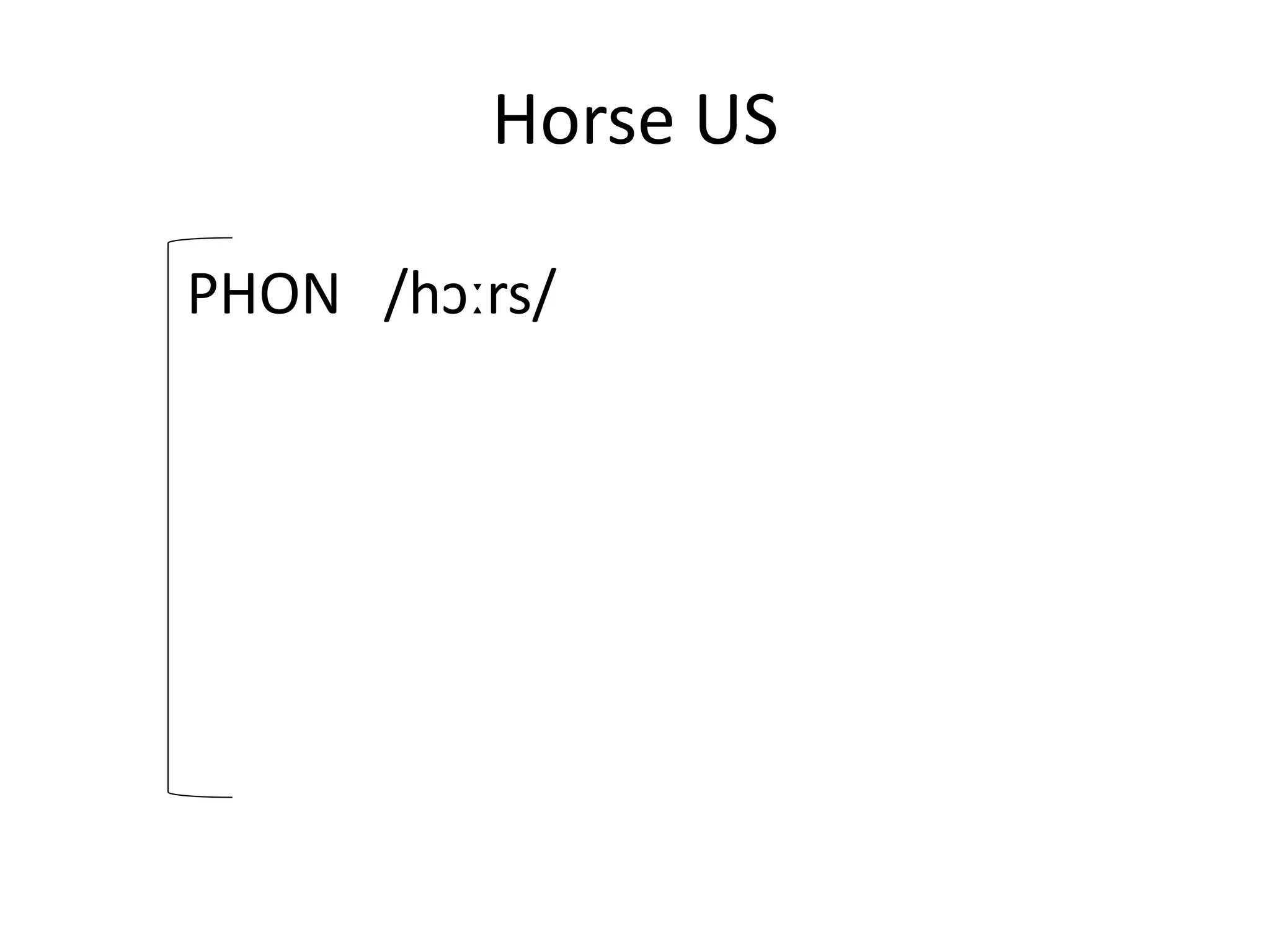 Horse US
PHON /hɔːrs/
 