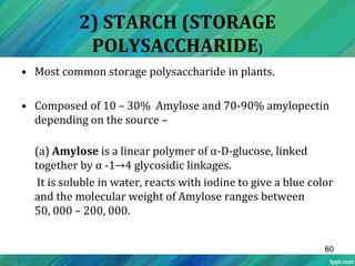 Carbohydrates | PPTX
