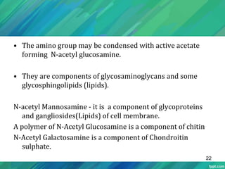 • The amino group may be condensed with active acetate
forming N-acetyl glucosamine.
• They are components of glycosaminoglycans and some
glycosphingolipids (lipids).
N-acetyl Mannosamine - it is a component of glycoproteins
and gangliosides(Lipids) of cell membrane.
A polymer of N-Acetyl Glucosamine is a component of chitin
N-Acetyl Galactosamine is a component of Chondroitin
sulphate.
22
 