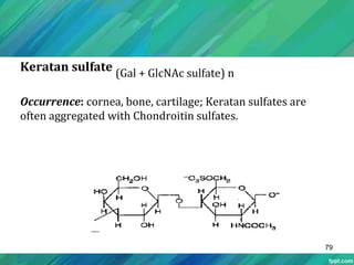 Keratan sulfate (Gal + GlcNAc sulfate) n
Occurrence: cornea, bone, cartilage; Keratan sulfates are
often aggregated with Chondroitin sulfates.
79
 