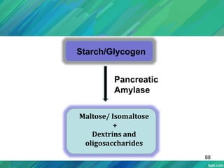 Starch/Glycogen
Maltose/ Isomaltose
+
Dextrins and
oligosaccharides
Pancreatic
Amylase
88
 