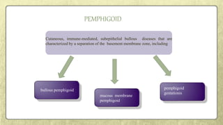 PEMPHIGOID
Cutaneous, immune-mediated, subepithelial bullous diseases that are
characterized by a separation of the basement membrane zone, including
bullous pemphigoid pemphigoid
gestationis
mucous membrane
pemphigoid
 
