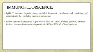  IgG&C3 immune deposits along epithelial basement membrane and circulating IgG
antibodies to the epithelial basement membrane.
 Direct immunofluorescence is positive in 90% to 100% of these patients, whereas
indirect immunofluorescence is positive in 40% to 70% of affected patients
 