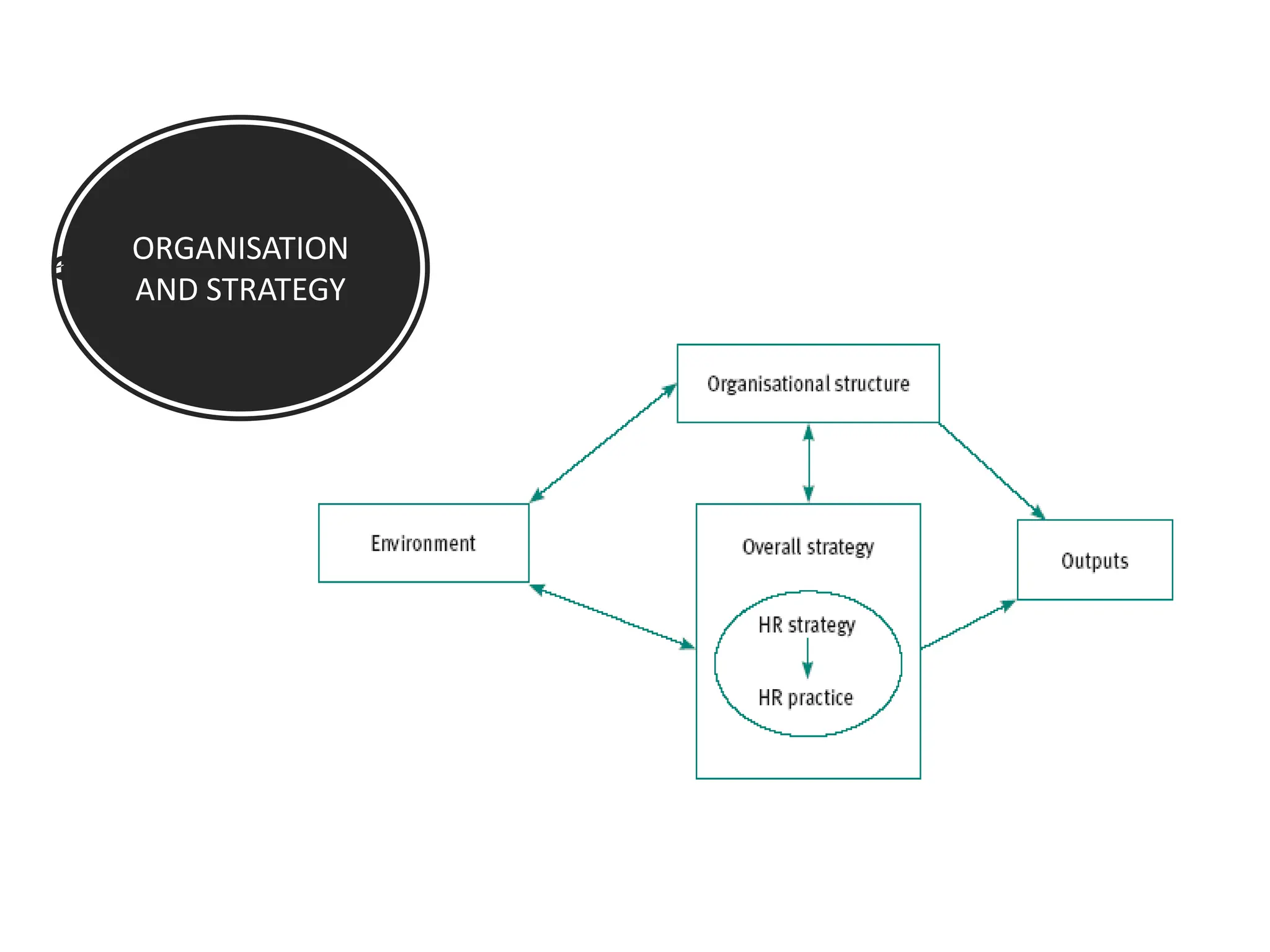 ORGANISATION
AND STRATEGY
 