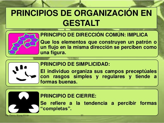 Carl Rogers Teoria De La Personalidad Pdf Carl Rogers Teoria De La Personalidad Pdf