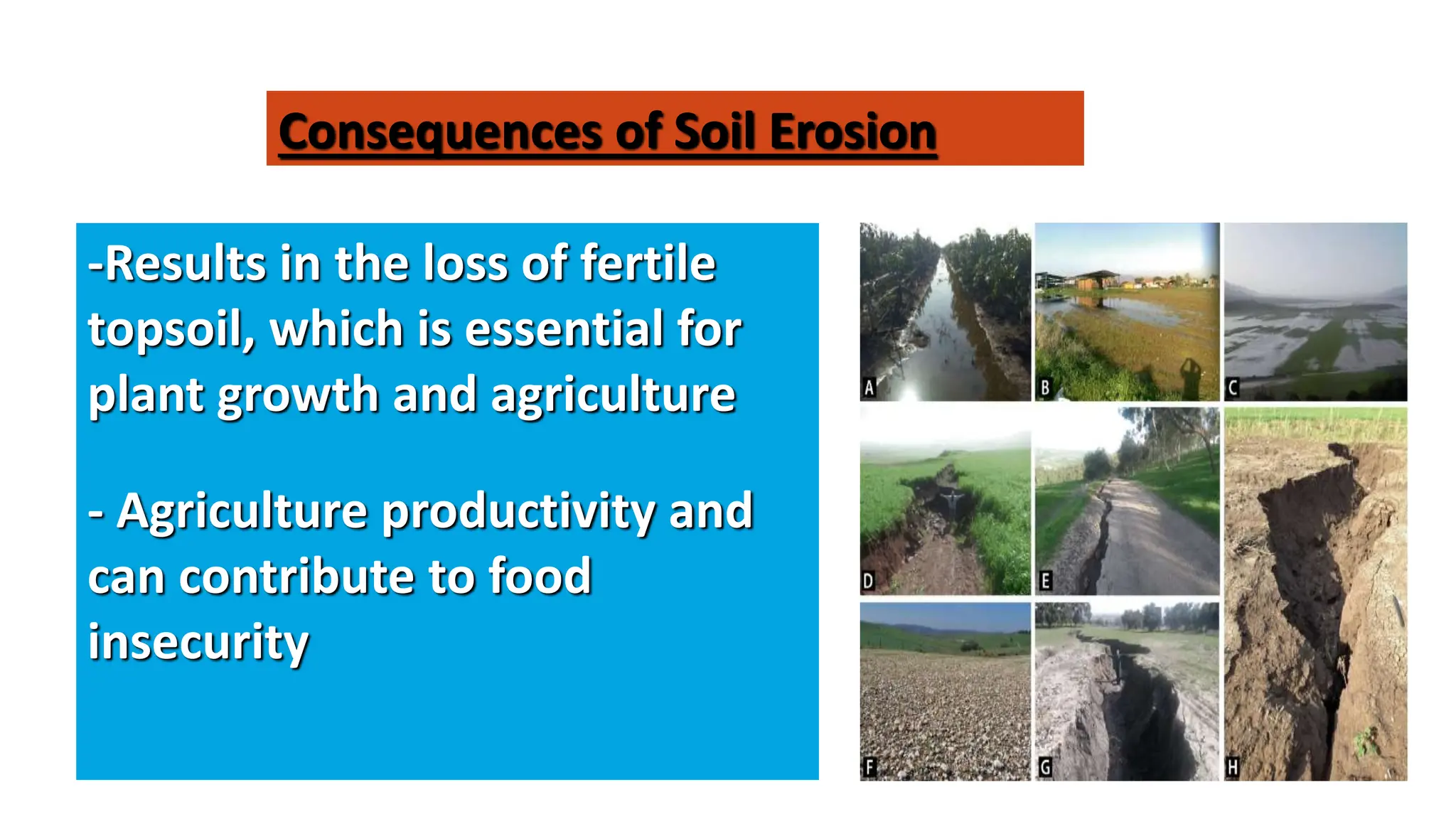 Environment: water:The Elixir of life, Soil Erosion and prevention | PPTX