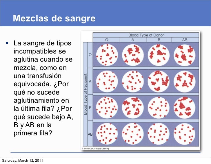 Presentación del capítulo 37