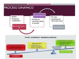 PROCESO DINÁMICO
 