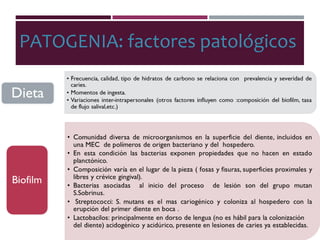 PATOGENIA: factores patológicos
 