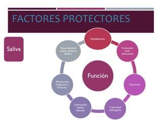 FACTORES PROTECTORES
 