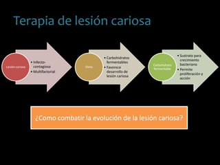 Terapia de lesión cariosa
• Infecto-
contagiosa
• Multifactorial
Lesión cariosa
• Carbohidratos
fermentables
• Favorece
desarrollo de
lesión cariosa
Dieta
• Sustrato para
crecimiento
bacteriano
• Permite
proliferación y
acción
Carbohidrato
fermentable
¿Como combatir la evolución de la lesión cariosa?
 