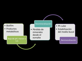 • v
• Biofilm
• Productos
metabólicos
Baja de pH: menor a
5.5
• Pérdida de
minerales
desde el
esmalte
Desmineralización
• Ph sube
• Estabilización
del medio bucal
Remineralización
 