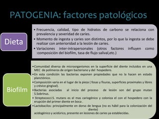 •Comunidad diversa de microorganismos en la superficie del diente incluidos en una
MEC de polímeros de origen bacteriano y del hospedero.
•En esta condición las bacterias exponen propiedades que no la hacen en estado
planctónico.
•Composición varia en el lugar de la pieza ( fosas y fisuras, superficies proximales y libres
y crévice gingival).
•Bacterias asociadas al inicio del proceso de lesión son del grupo mutan
S.Sobrinus.
• Streptococci:S. mutans es el mas cariogénico y coloniza el con el hospedero con la
erupción del primer diente en boca .
•Lactobacilos: principalmente en dorso de lengua (no es hábil para la colonización del
diente)
acidogénico y acidúrico, presente en lesiones de caries ya establecidas.
Biofilm
PATOGENIA: factores patológicos
• Frecuencia, calidad, tipo de hidratos de carbono se relaciona con
prevalencia y severidad de caries.
• Momento de ingesta y caries son distintos, por lo que la ingesta se debe
realizar con anterioridad a la lesión de caries.
• Variaciones inter-intrapersonales (otros factores influyen como
:composición del biofilm, tasa de flujo salival,etc.)
Dieta
 
